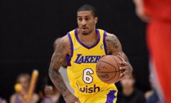 他的组织能 他的组织能